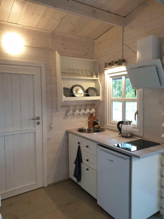 Ozo Riverside Wooden Cottage In Jurmala Exterior photo